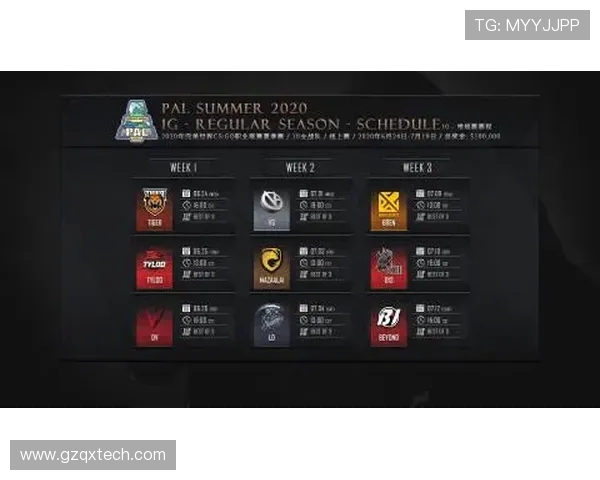 WE战队在CSGO赛场的崛起与变革之路探讨