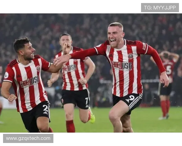 布里斯托城与博尔顿的精彩对决谁能笑到最后分析与预测