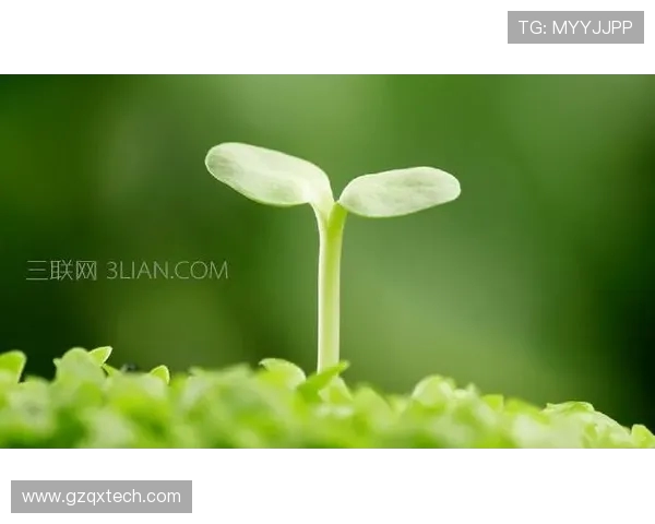 张帆的奋斗历程与人生哲学探讨如何在逆境中成长与成功 张帆的奋斗历程与人生哲学探讨如何在逆境中成长与成功