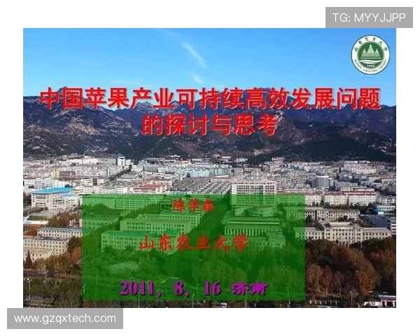 防御正义与阿独立直播的较量探讨与思考