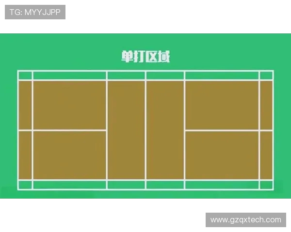 羽毛球新手必看:从零基础到实力提升的全面入门指南 羽毛球新手必看:从零基础到实力提升的全面入门指南