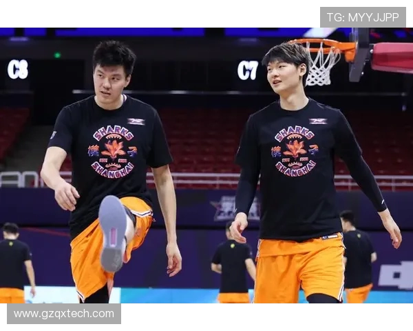 上海极限运动队团队协作表现的数据分析与提升策略探讨 上海极限运动队团队协作表现的数据分析与提升策略探讨