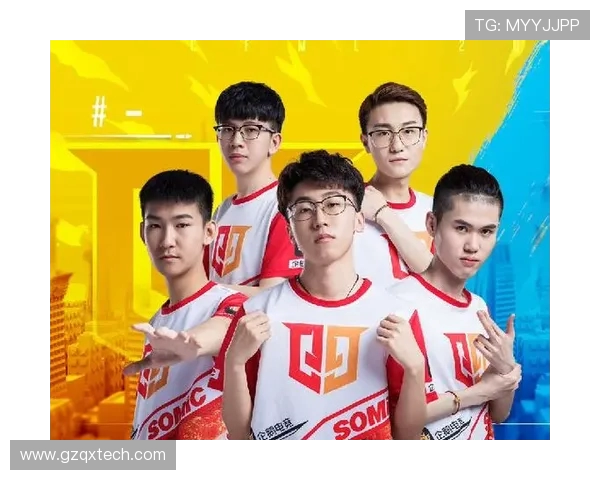 上海网球队杯赛征程回顾与突破之路的深度解析与展望