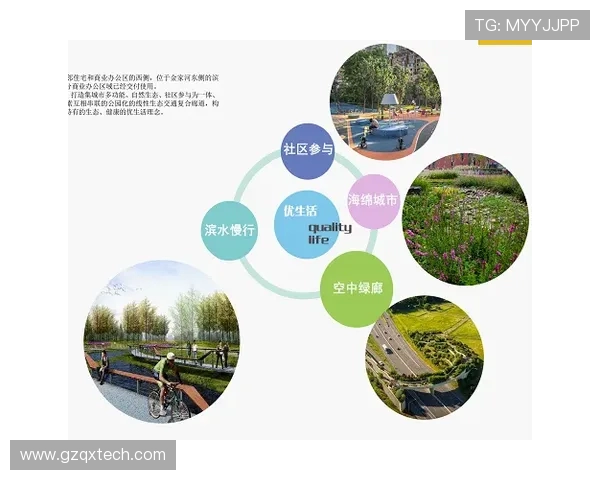 武汉排球队快攻战术解析与实战应用探讨